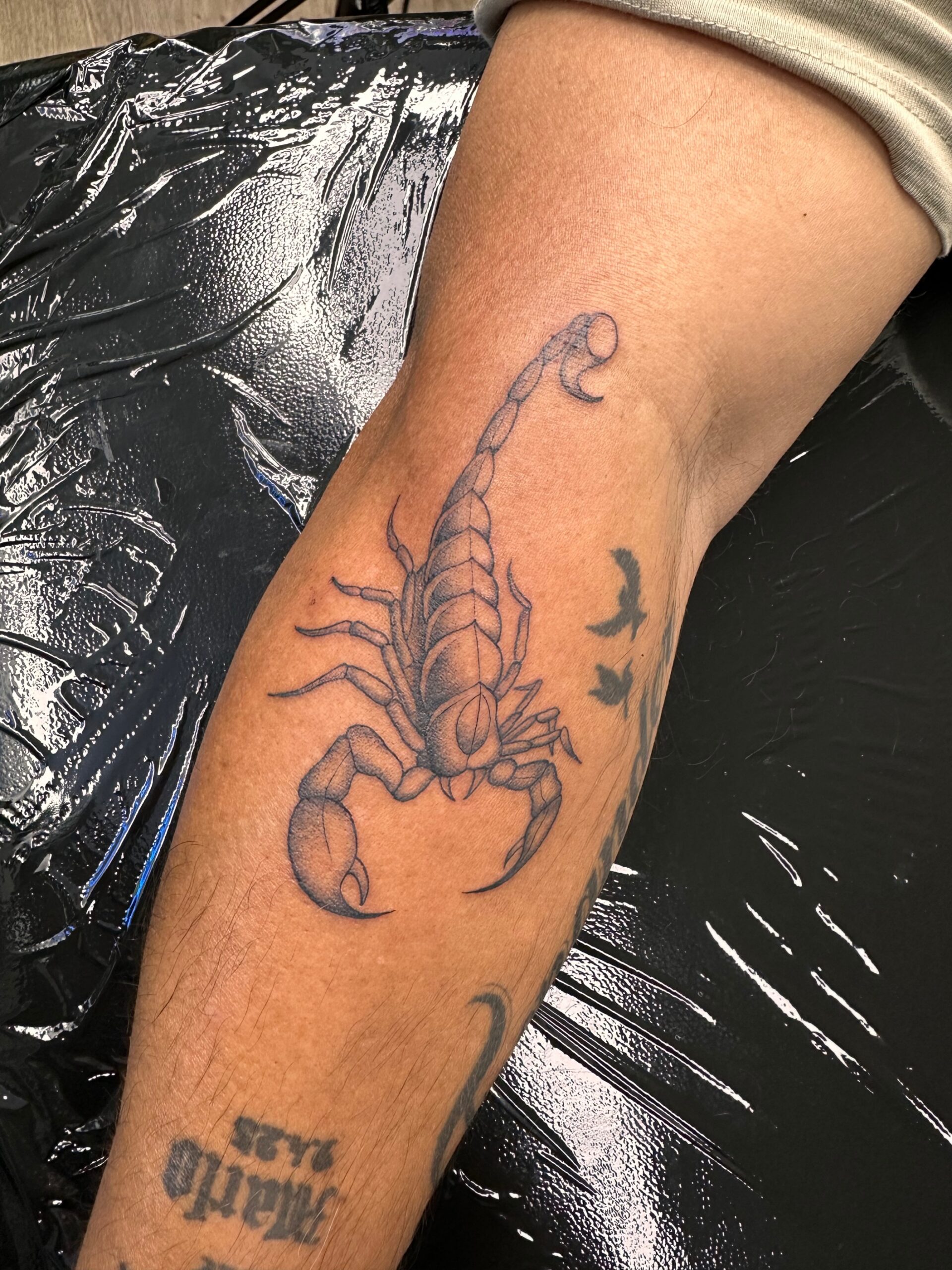 Scorpion Tattoo